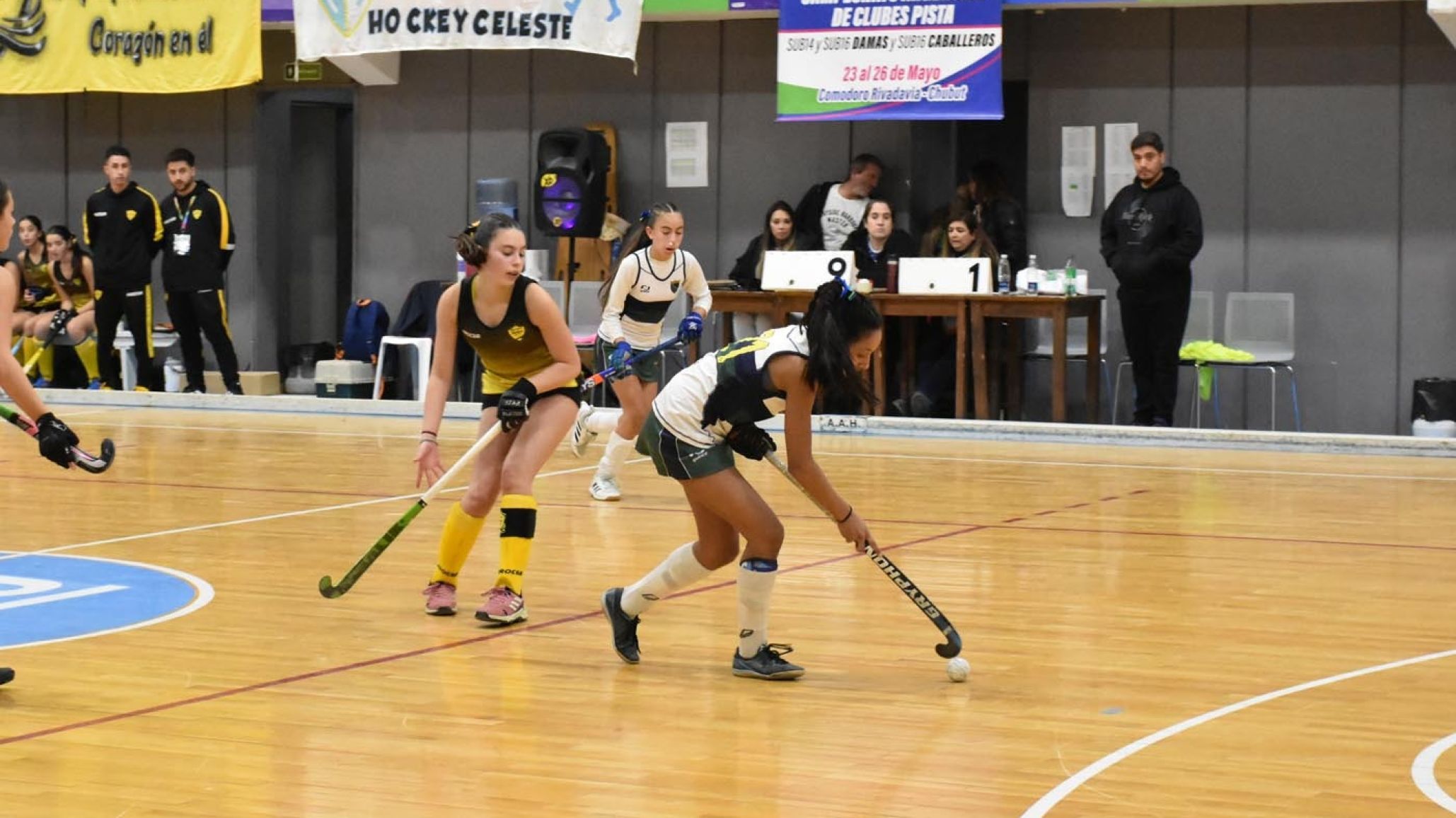 Comodoro será sede del Campeonato Argentino de Clubes Mayores Pista "B" y "C" Damas