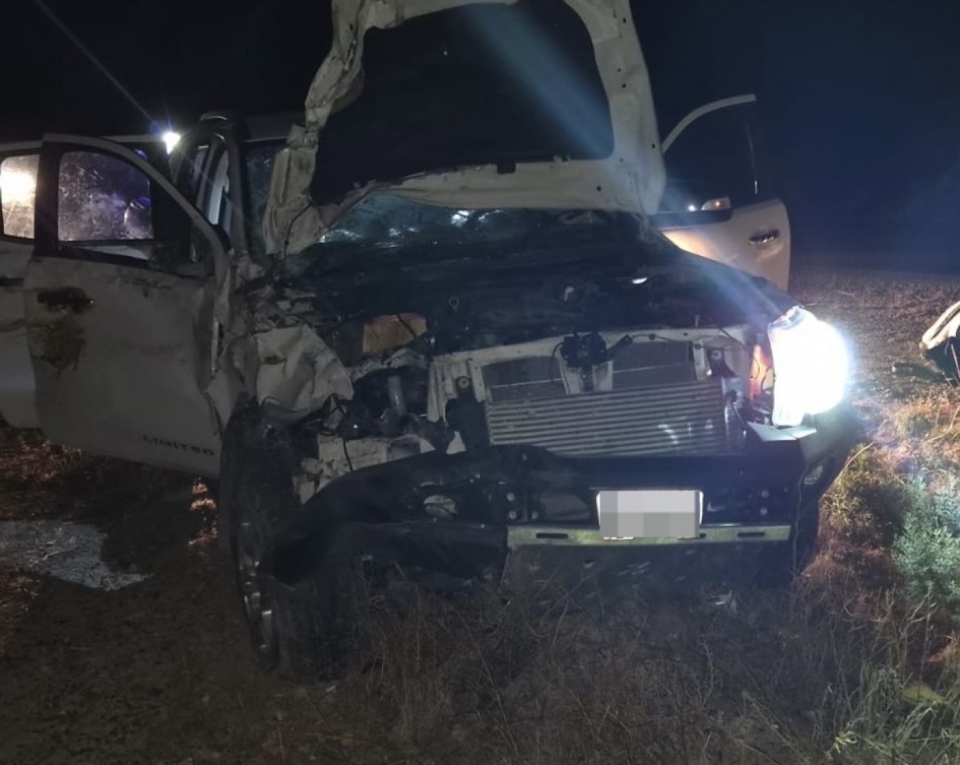 Viajaba para dar a luz y chocó contra caballos sueltos en la Ruta 25
