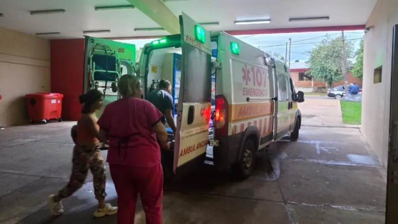 Un nene de 7 años fue atacado por siete perros mientras jugaba en su casa