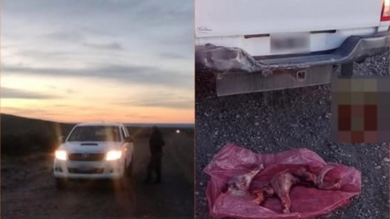 Secuestraron un ñandú faenado en un control sobre la Ruta 27