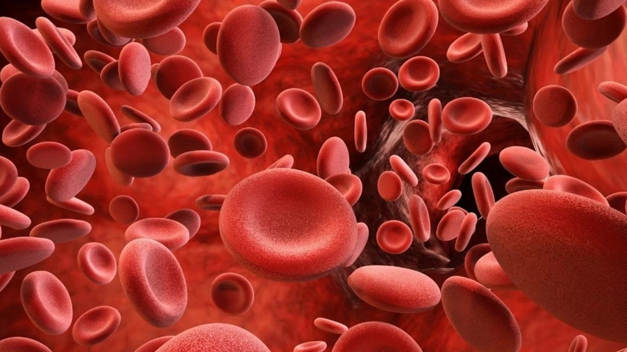 Argentina: Detectan seis casos de un extraño grupo sanguíneo con apoyo de Japón