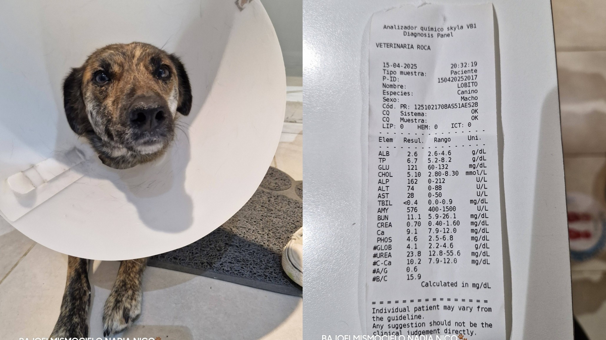 Punto de quiebre para el proteccionismo en Comodoro: deudas asfixiantes ponen en riesgo futuros rescates