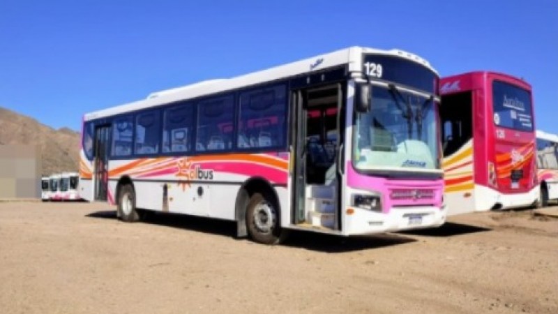 El nuevo servicio de colectivos de MR apunta a arrancar el 1 de junio en Comodoro