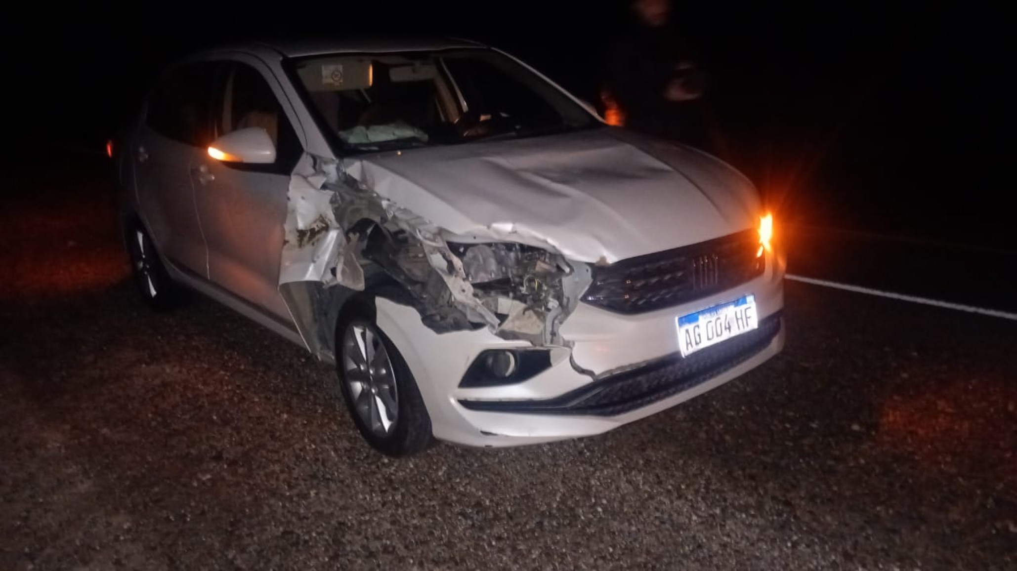 Choque contra un guanaco en la Ruta 3: una familia fue asistida en Garayalde