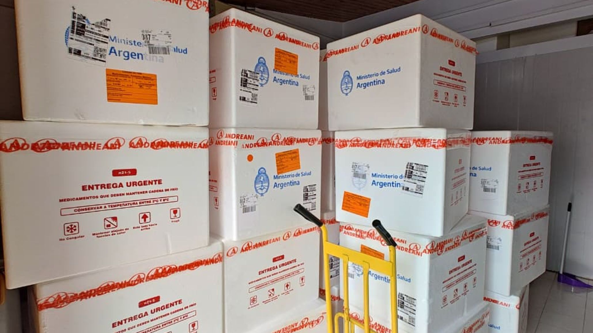 Salud distribuyó más de 13.000 nuevas vacunas antigripales en Chubut y refuerza la campaña de vacunación