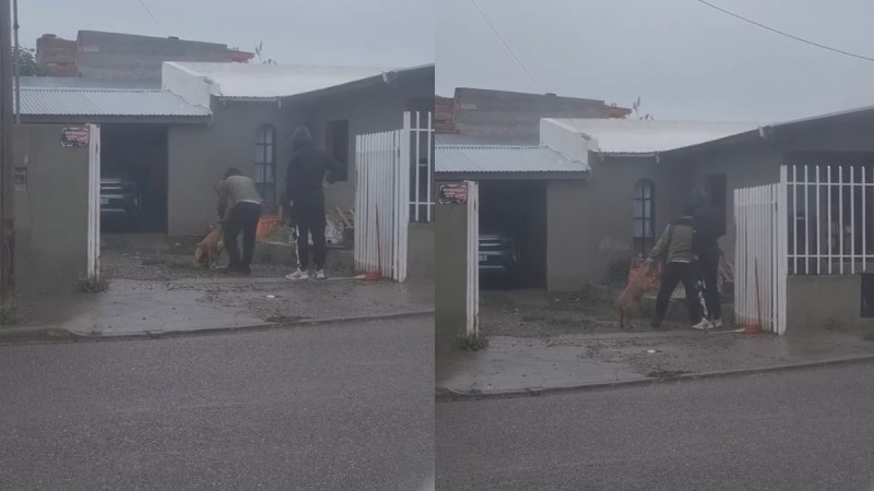 Indignación en Palazzo: filmaron a dos hombres mientras maltrataban brutalmente a un perro
