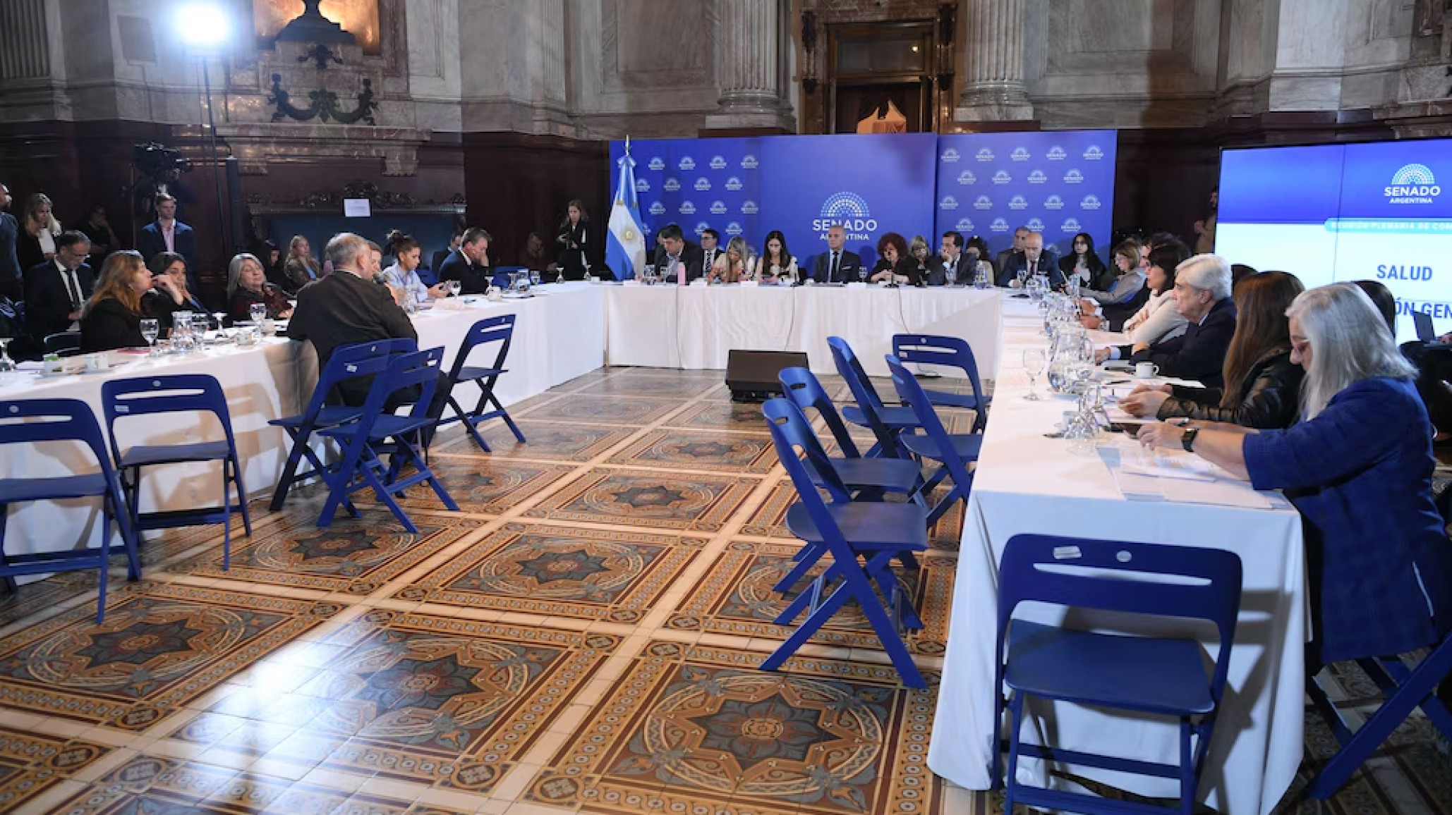 El Senado retoma el debate para modificar la ley de salud mental