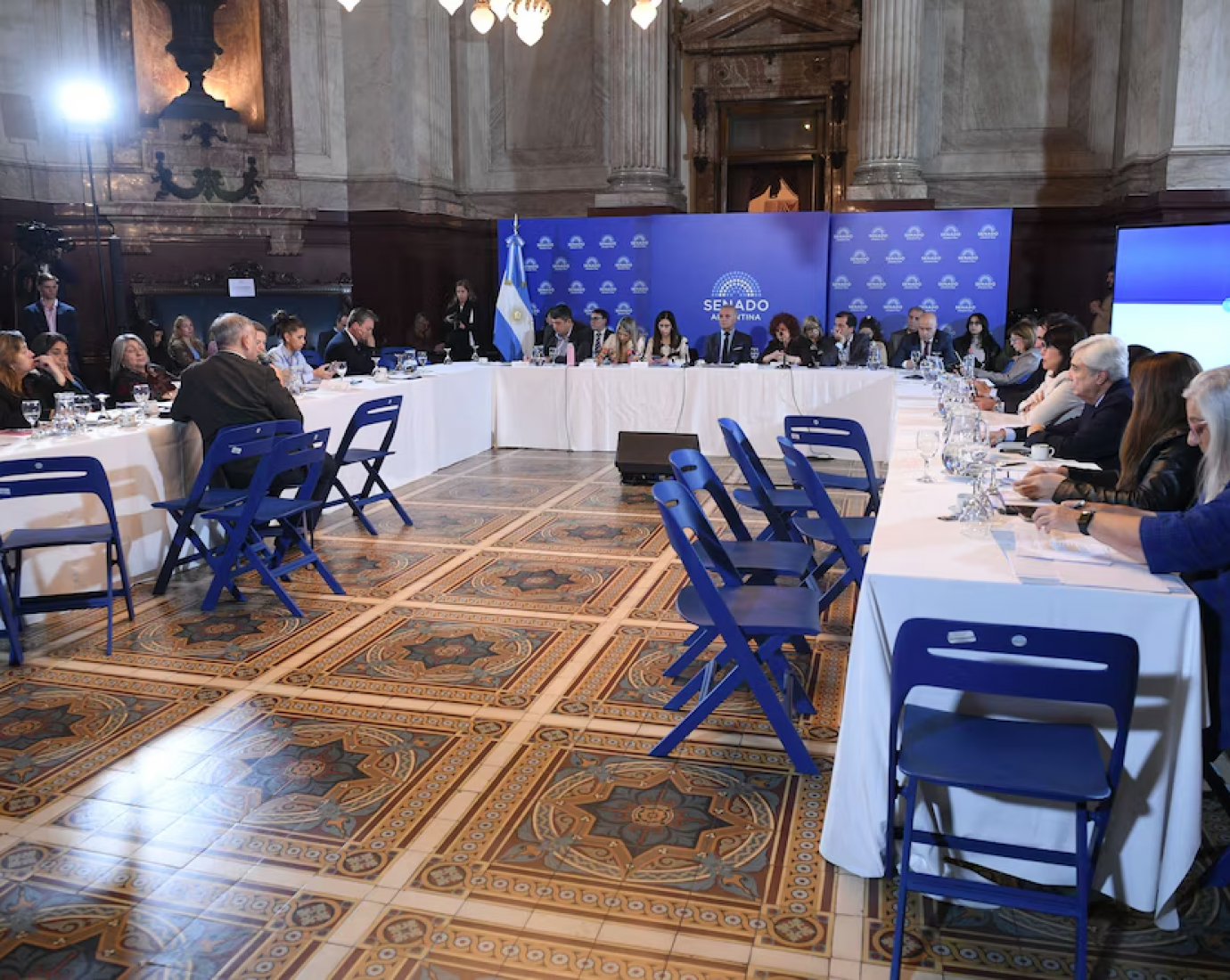 El Senado retoma el debate para modificar la ley de salud mental