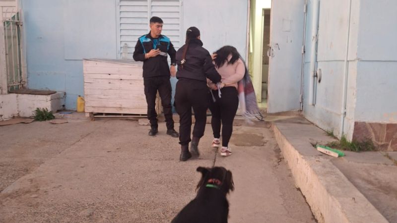 Violenta pelea entre mujeres en el 30 de Octubre: terminó con piedrazos, amenazas y una detenida