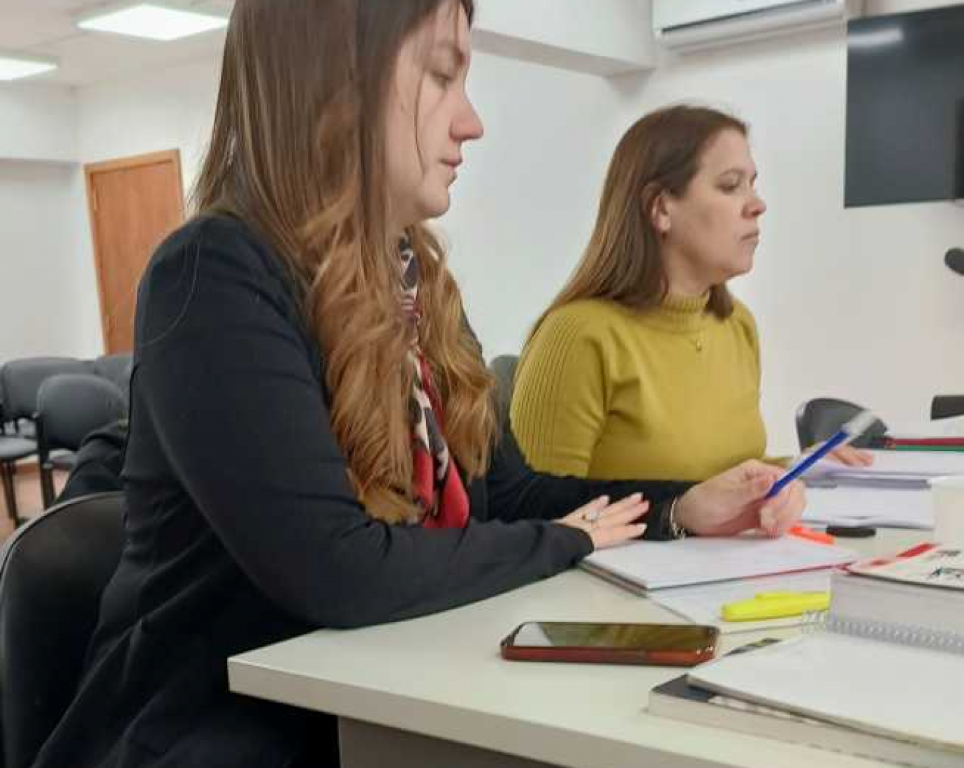 Piden elevar a juicio una causa por violencia de género