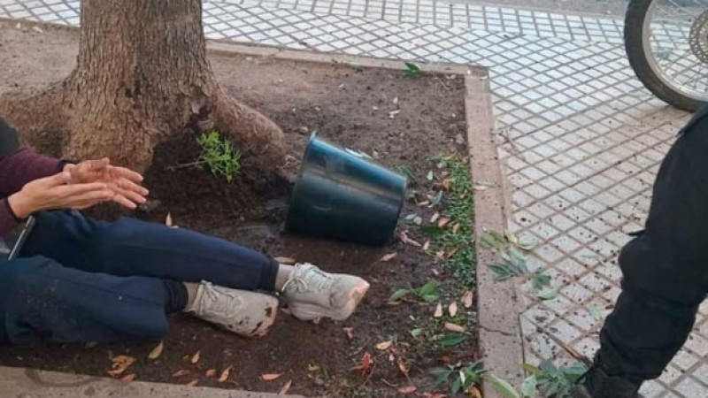 Insólito: le cayó una maceta con marihuana desde un edificio y terminó fracturada