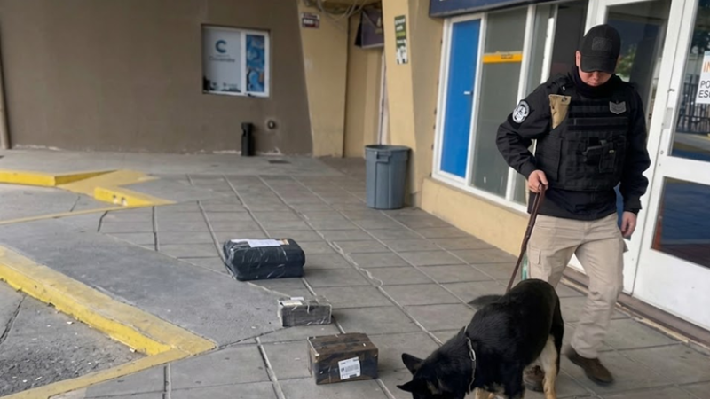 Comodoro: Un can detectó marihuana oculta en paquetes de yerba