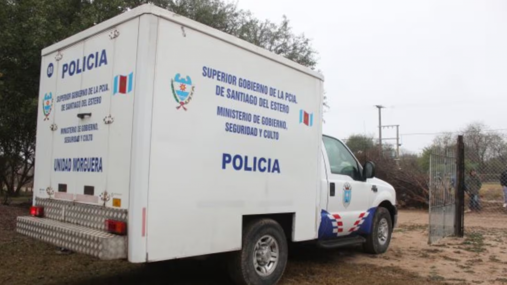 Tragedia: un hombre de 91 años murió tras ser atacado por un enjambre de abejas