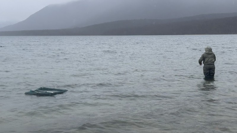 Pesca colaborativa en la cordillera: Chubut convoca a mosqueros para una campaña clave de captura de truchas y obtención de ovas en Río Pico