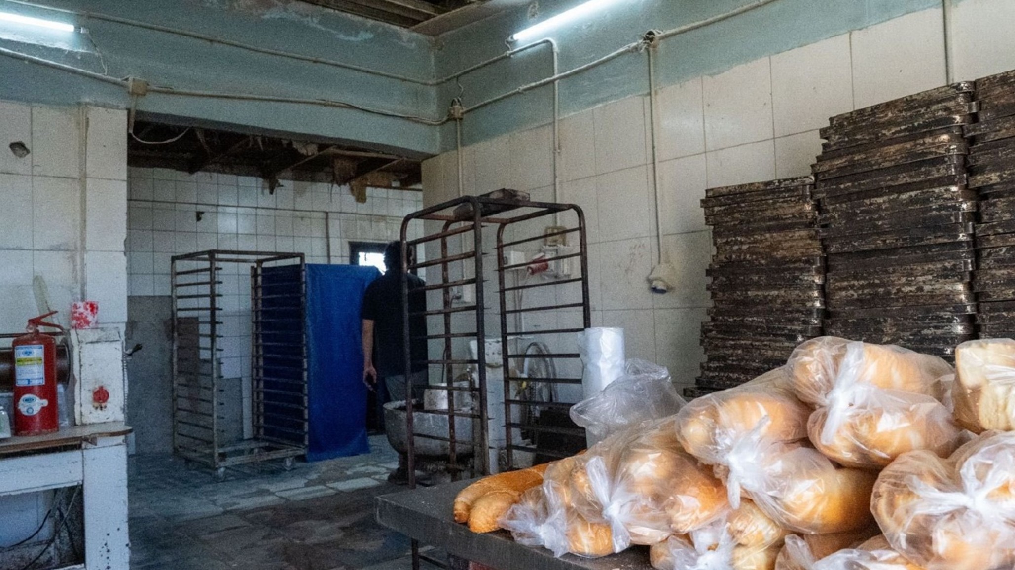 Standart Norte: tras la denuncia de los vecinos, clausuran una panadería por "graves deficiencias de higiene e infraestructura"