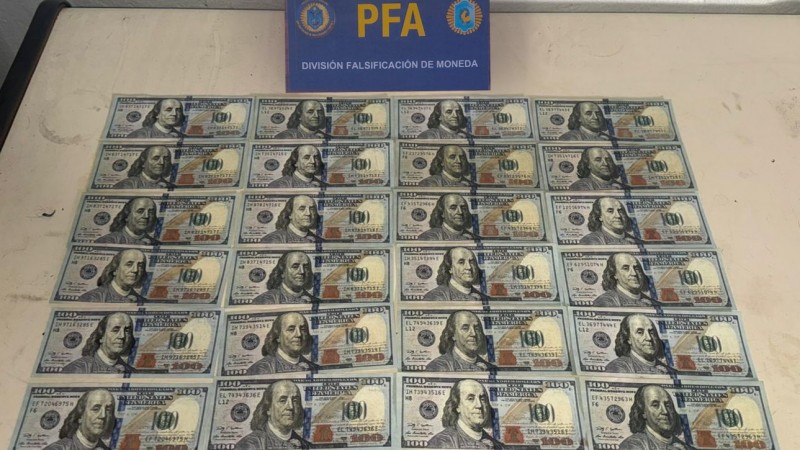 Cayeron "Los Falsimuladores": desbaratan a una banda que inundaba comercios con dólares y pesos falsos