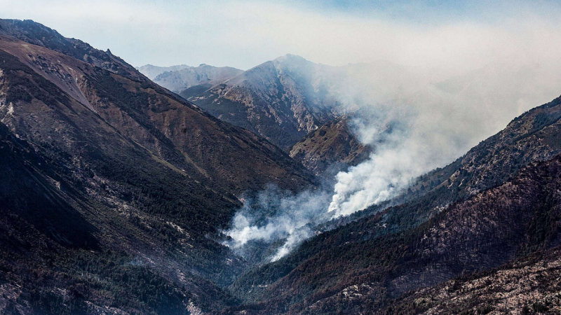 Alerta en la Patagonia: se multiplicó por diez la superficie de bosques arrasados por los peores incendios en 60 años