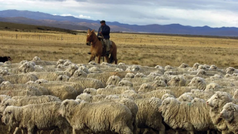 El campo de Chubut celebra la declaración de emergencia del sector