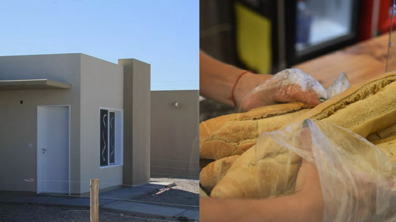 Escándalo en el IPV: Usaba una vivienda social como panadería industrial y tenía 20 empleados sin registrar