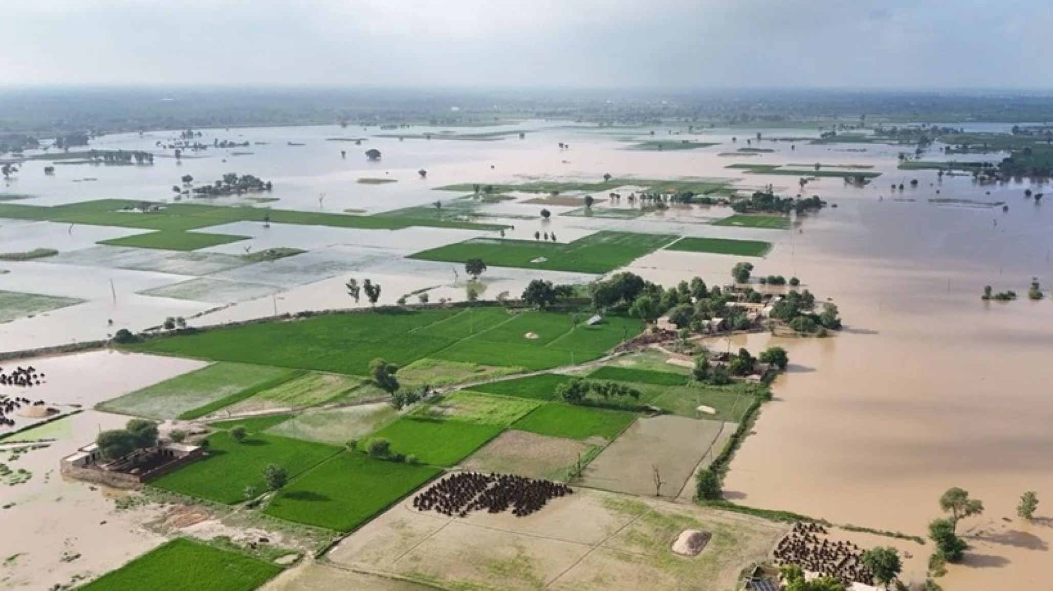 Alerta global: la OMM confirma que El Niño ya se desarrolla bajo el Pacífico