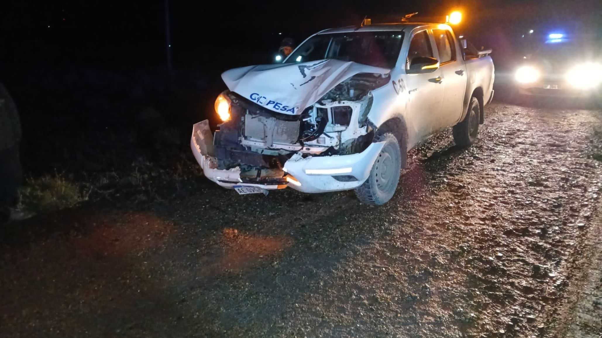 Un caballo se cruzó en plena Ruta 26 y una camioneta terminó destrozada