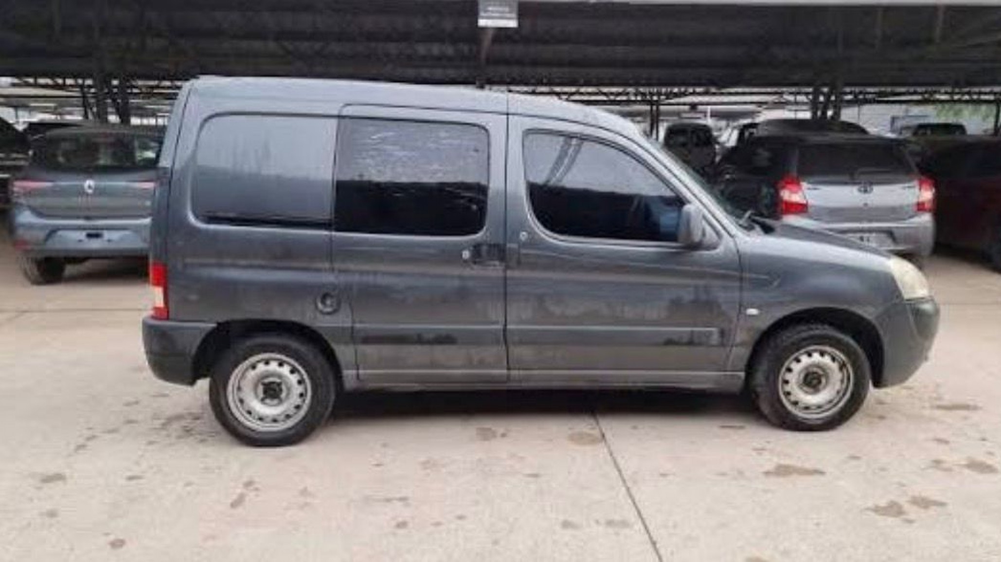 Denuncian que una camioneta atropelló a una perra y huyó sin asistirla
