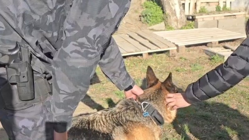 Después de cinco años de servicio, Tina se jubiló y comenzó una nueva etapa junto a su familia