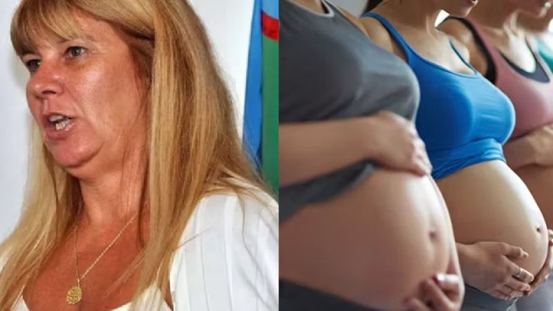 "Vayan a buscar panzas": condenaron a la exjueza de Pilar que captaba embarazadas para vender bebés