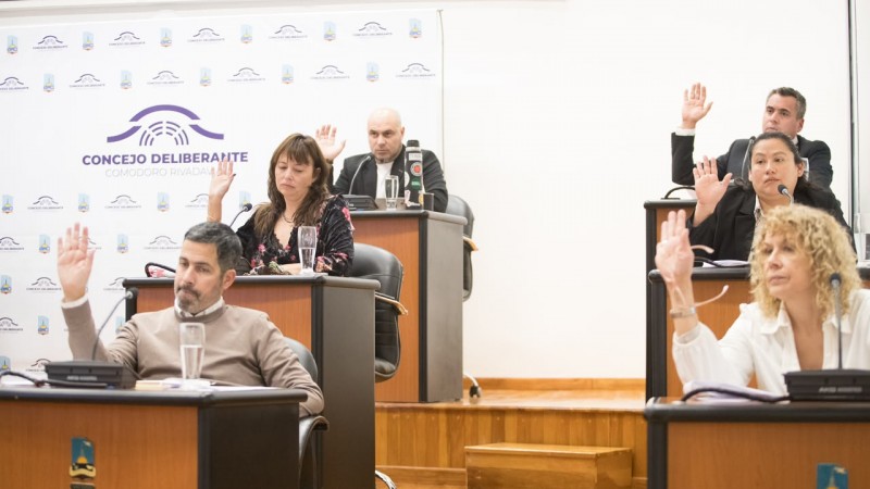 Comodoro: aprueban por unanimidad el uso obligatorio de sillas de ruedas en grandes superficies y edificios públicos