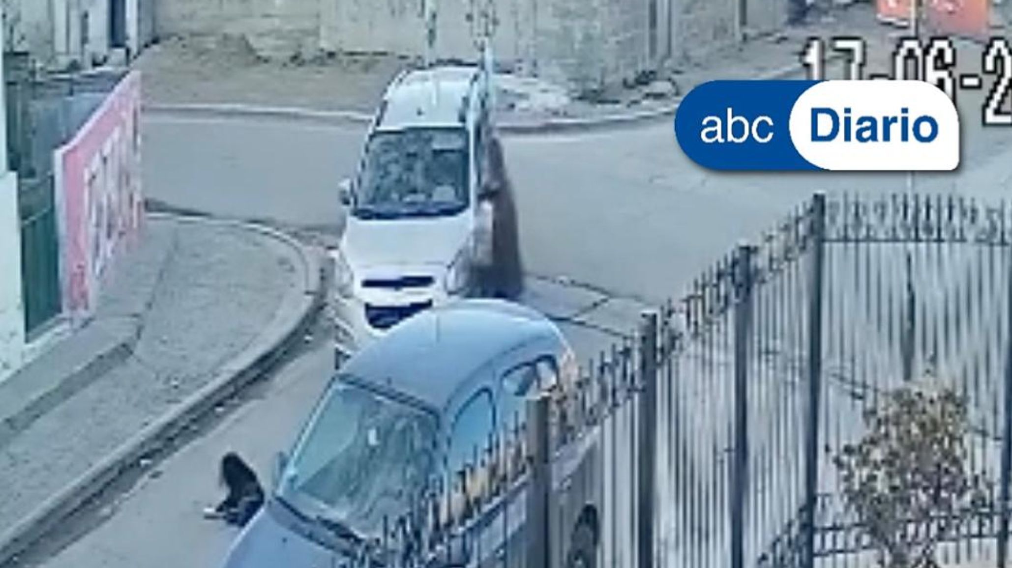 Video indignante en Comodoro: atropelló a un perro, se bajó a observar la situación y se fue del lugar.