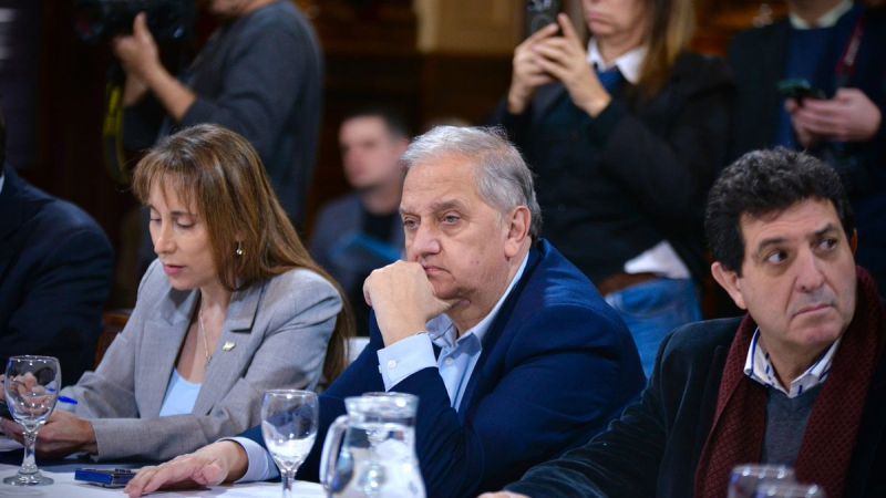 Linares cuestionó la "Ley Hojarasca" de Sturzenegger: "Mezcla normas obsoletas con leyes estratégicas"