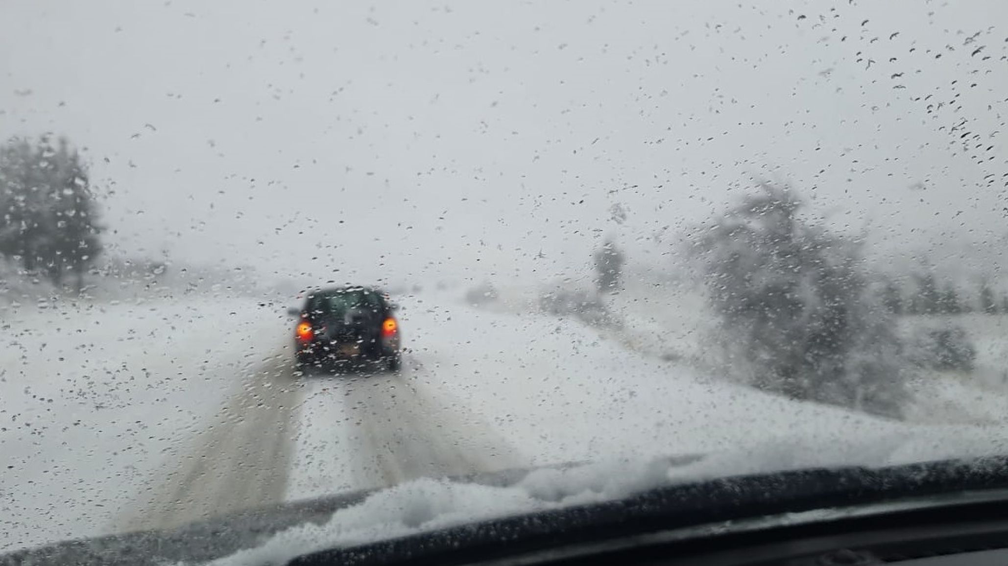 Alerta por estado de la Ruta 259 entre Esquel y Trevelin: calzada húmeda, viento y animales sueltos