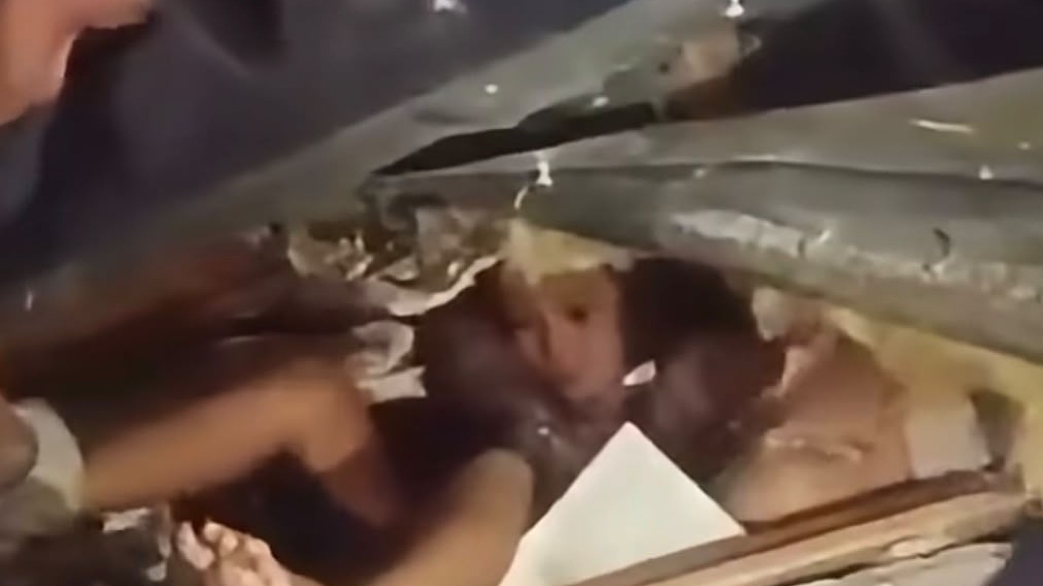 Otro rescate que emociona en Venezuela: una niña fue encontrada con vida entre los escombros