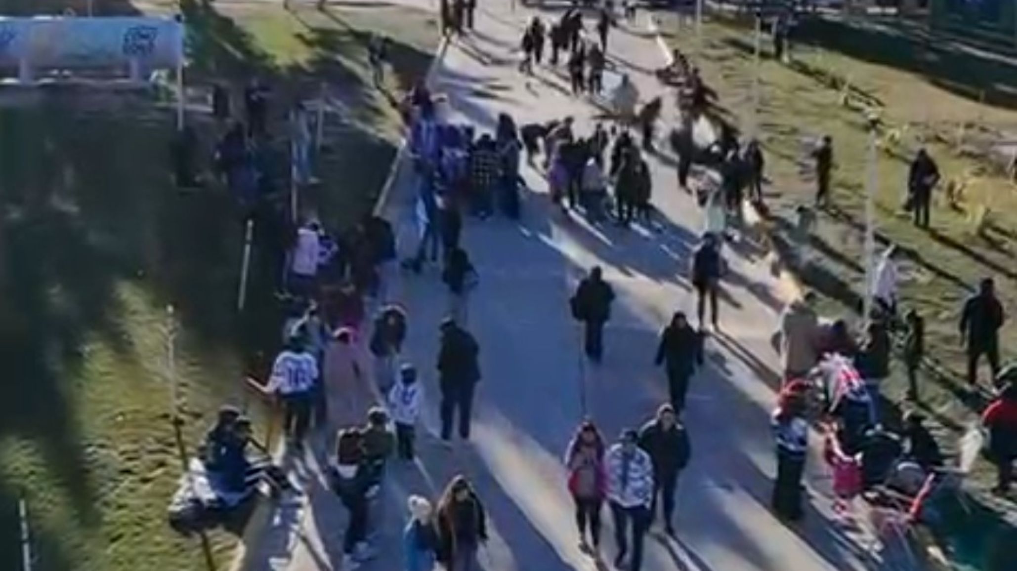 El "Salchi Banderazo" fue un éxito en Comodoro: decenas de familias y perros salchicha coparon el Parque de la Ciudad