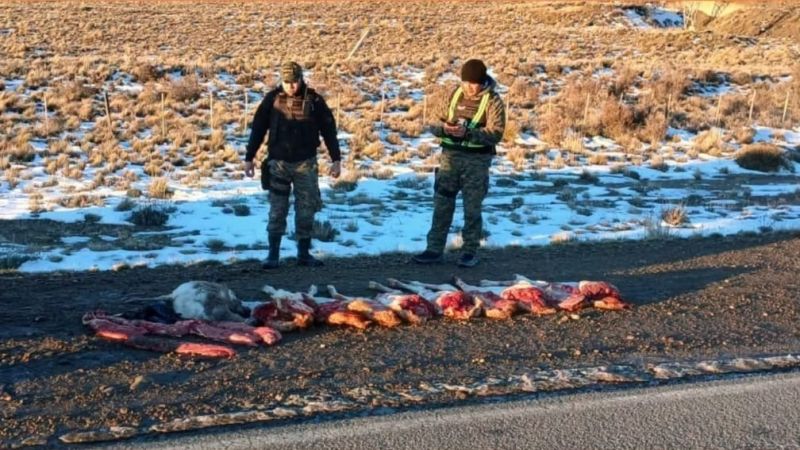 Secuestraron carne de guanaco y ñandú transportada sin autorización en la Ruta 26