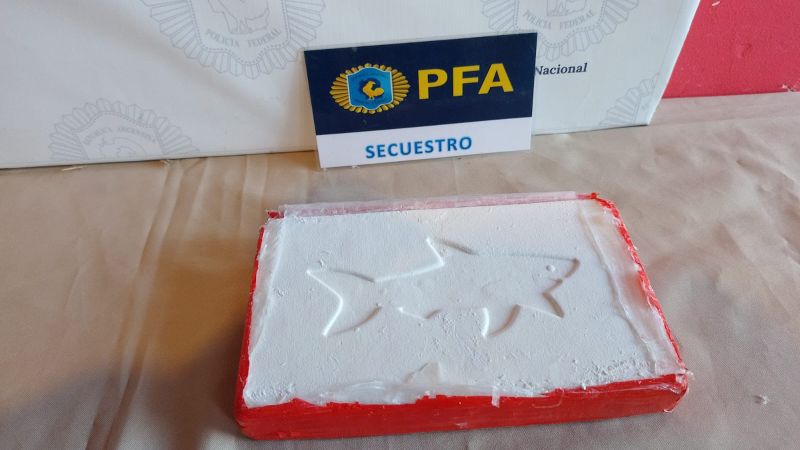 Operativo "Blue Line": cayó una red narco con 37 kilos de cocaína y una policía detenida en Corrientes