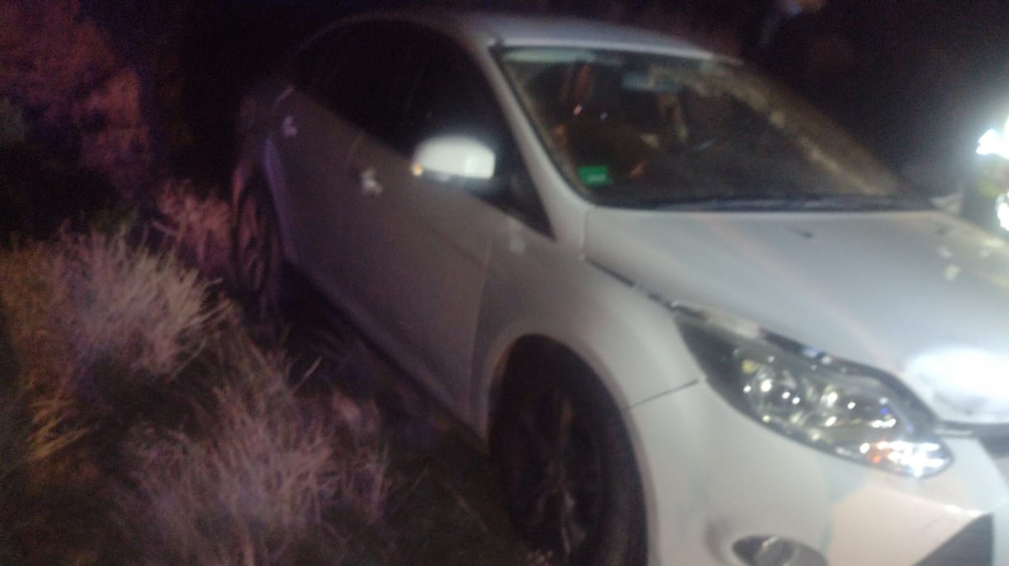 Intentó esquivar una liebre, despistó en la Ruta 39 y terminó con el auto dañado