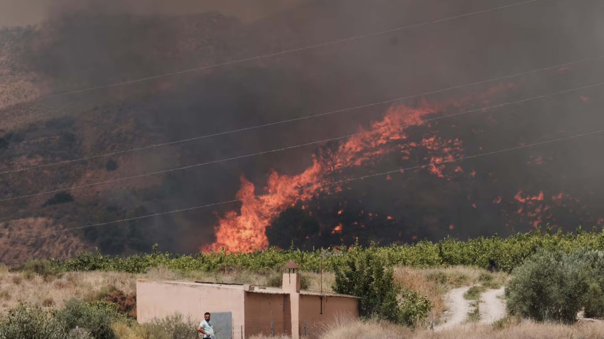 Un incendio arrasó una zona rural de España: hay al menos 12 muertos y 23 desaparecidos