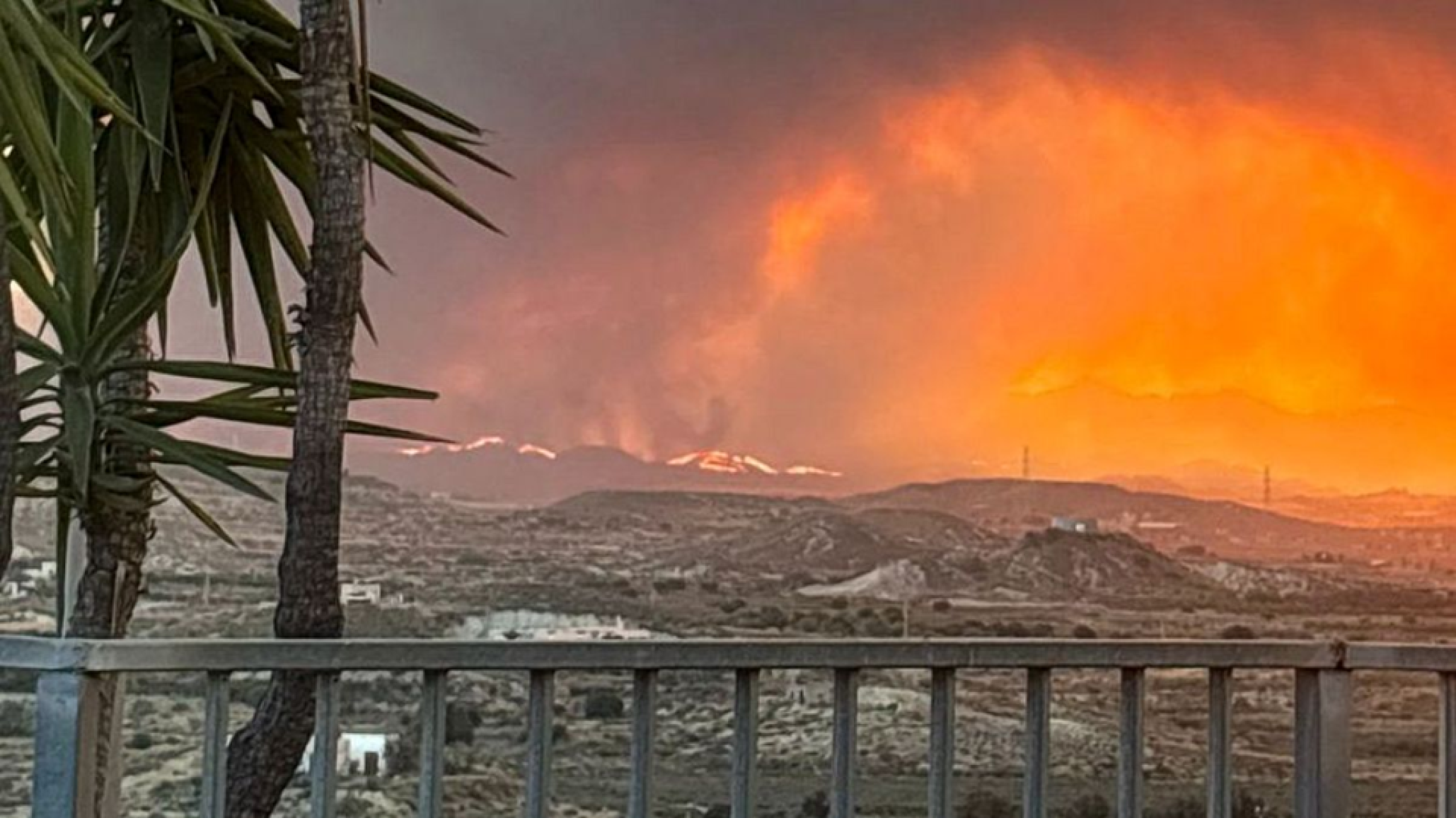 Tragedia masiva en Los Gallardos: Al menos 12 muertos en un feroz incendio forestal