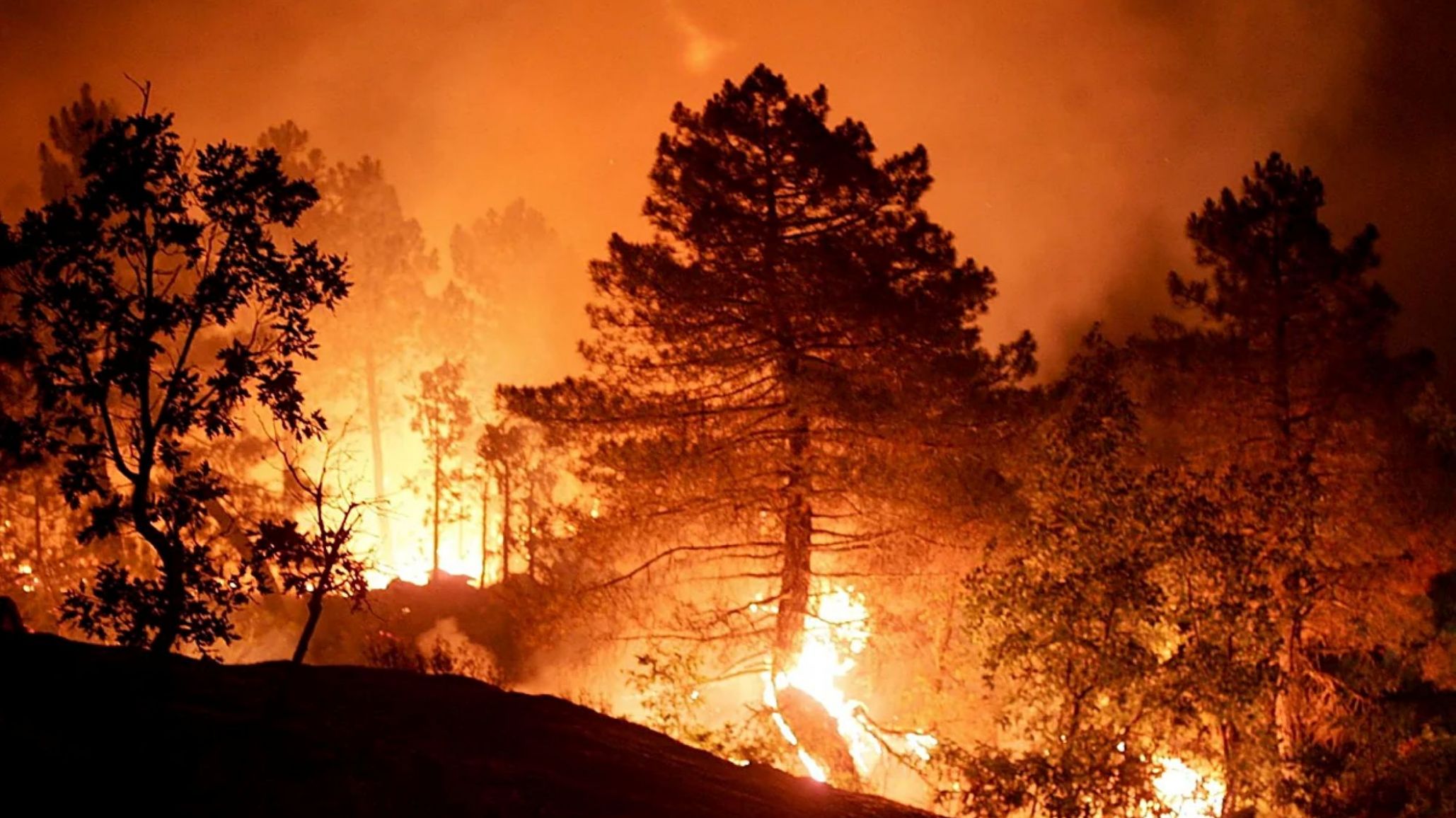 Tragedia por incendios en Almería: 12 muertos, miles de evacuados y más de 6.600 hectáreas arrasadas