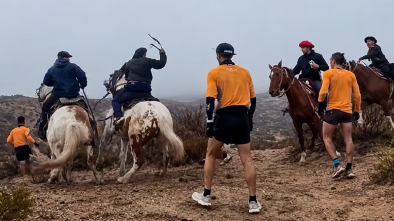 "Pensé que el caballo me pasaba por arriba": el dramático relato de uno de los runners agredidos en una carrera