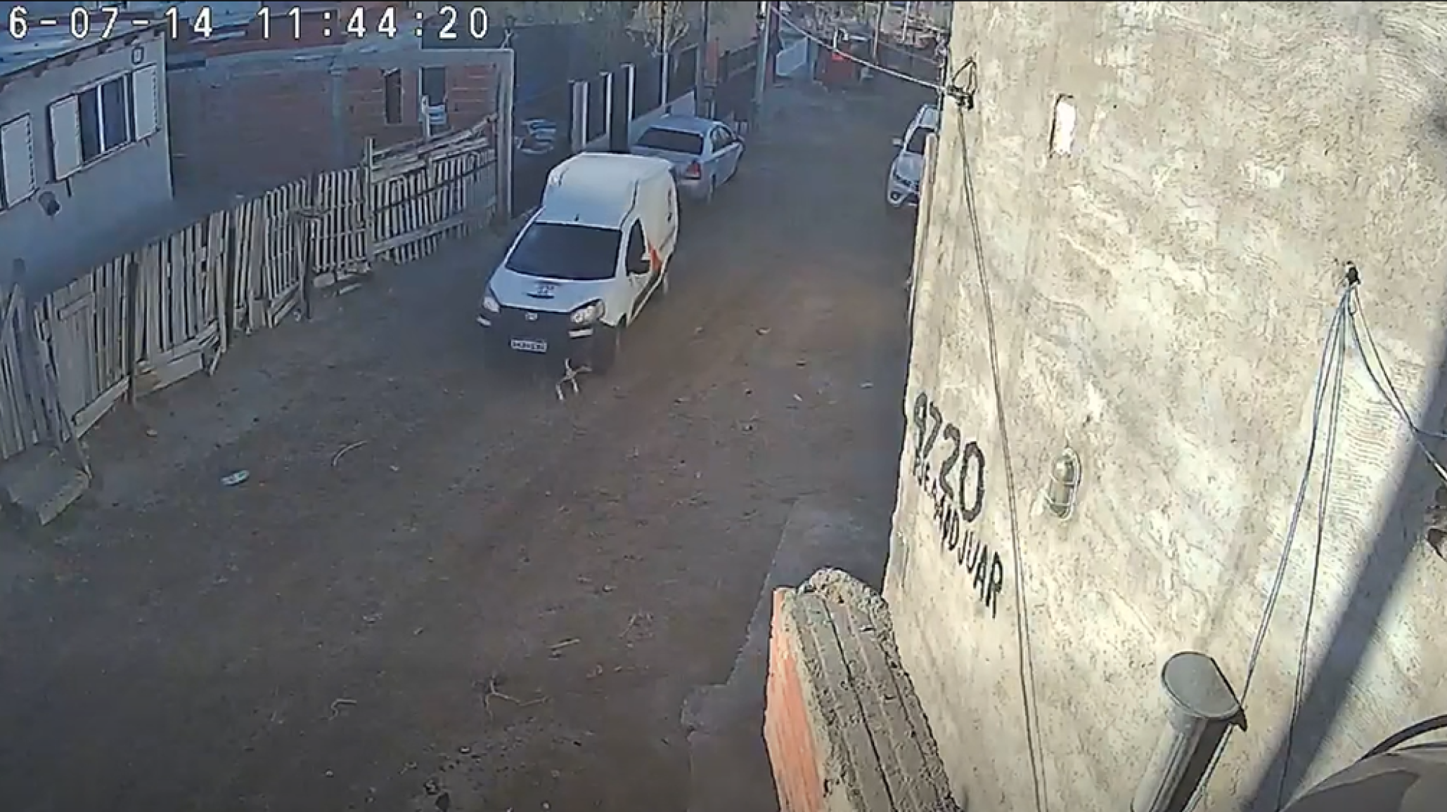 Comodoro: denuncian que una camioneta de encomiendas atropelló a una perrita de 16 años y huyó