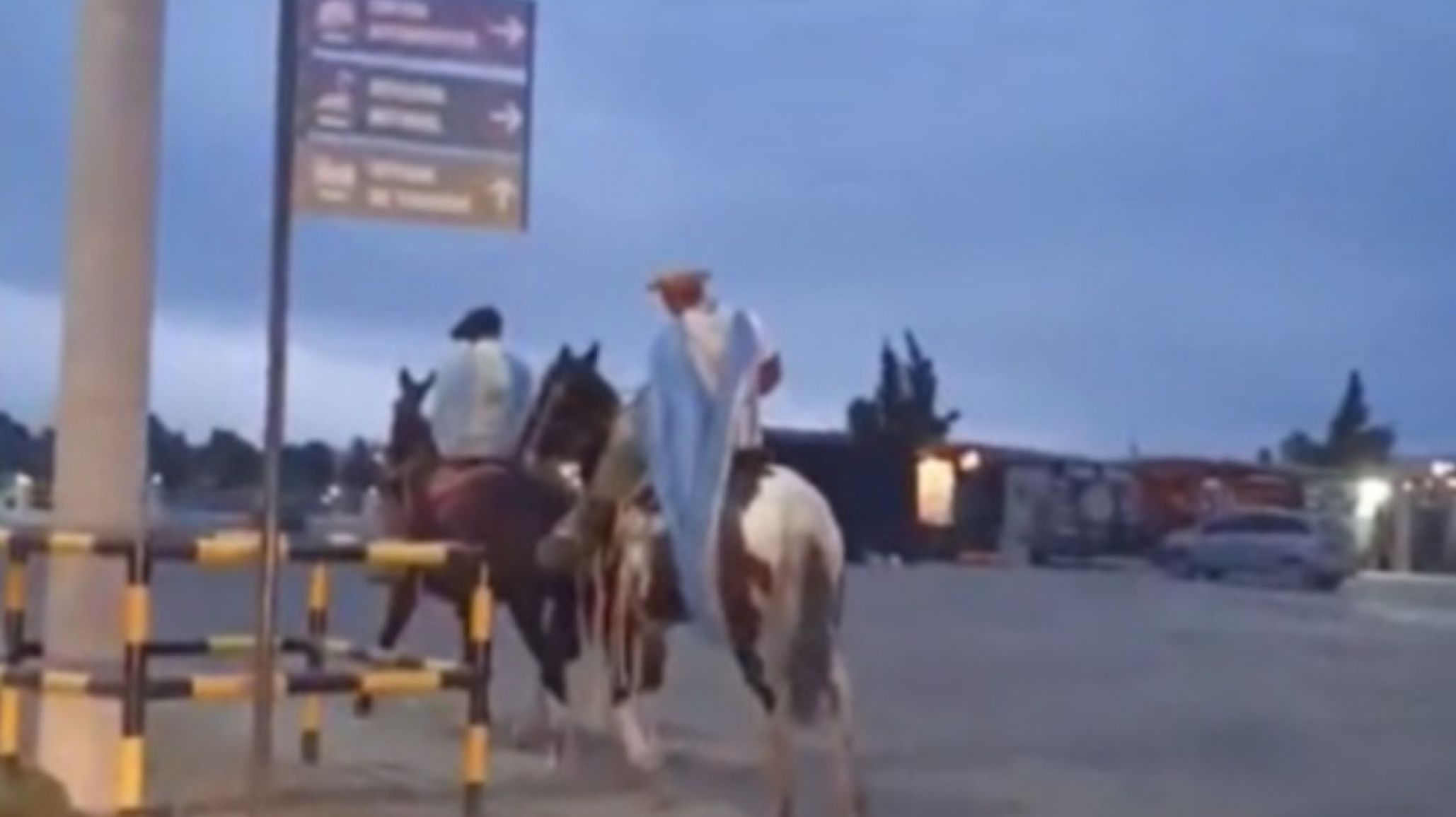 A caballo y con la bandera como capa: la emotiva postal que dejó el triunfo de Argentina en Chubut