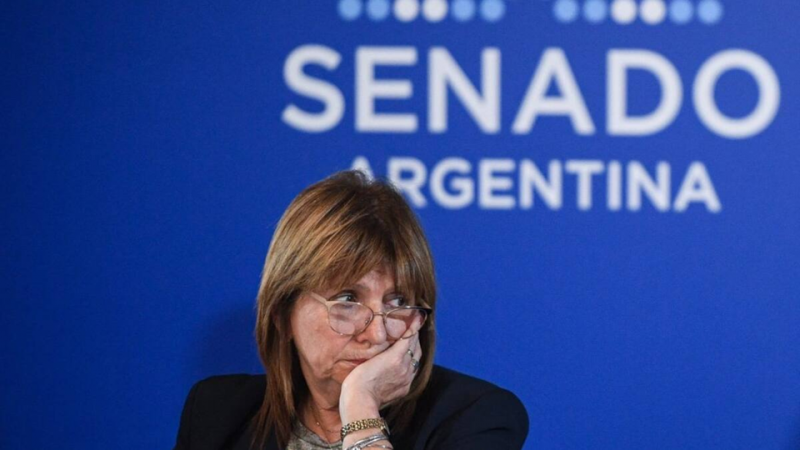 Otra victoria parcial para Argentina: se cayó el tratamiento en el Senado que iba a autorizar vender tierras sin límites a extranjeros