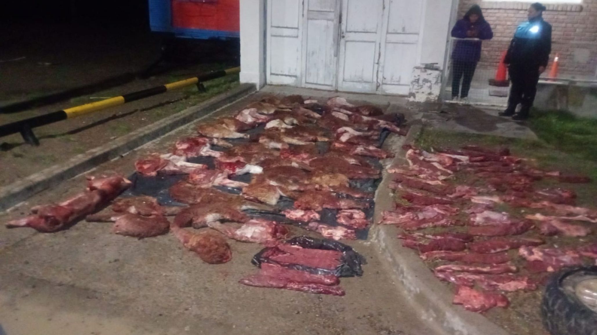 Caza ilegal en Chubut: interceptan camioneta con restos de guanacos y un puma sobre la Ruta 3