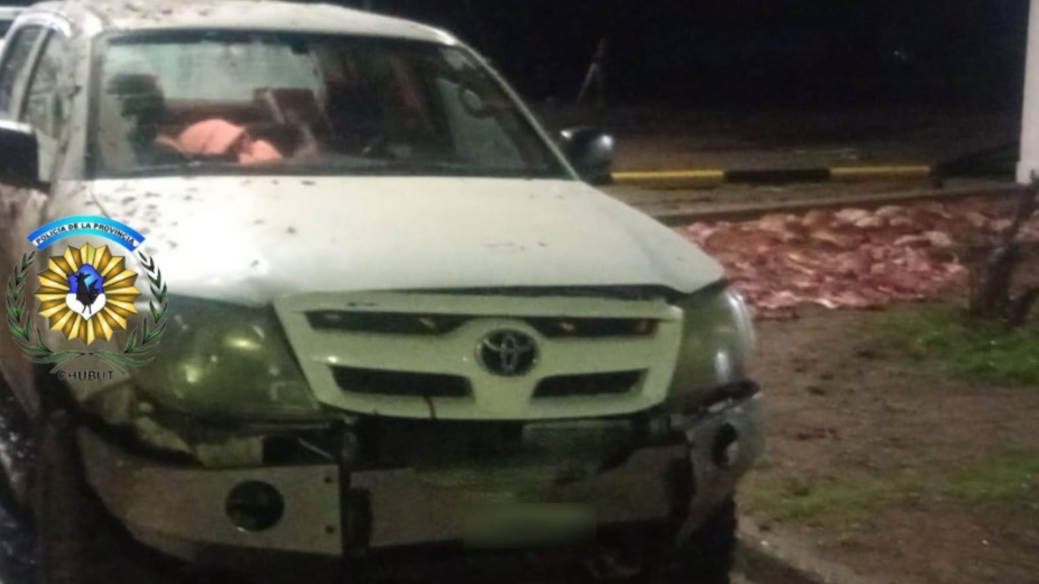 Ruta 3: descubrieron un puma faenado y restos de 27 guanacos en una camioneta