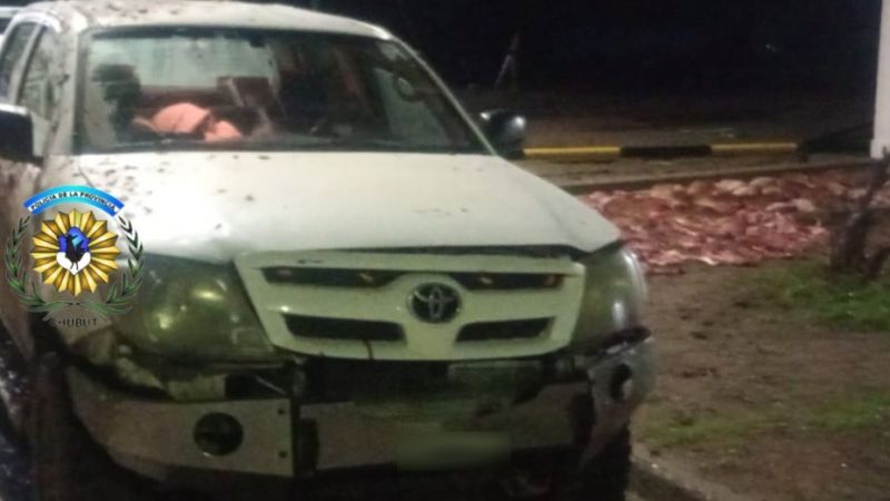 Ruta 3: descubrieron un puma faenado y restos de 27 guanacos en una camioneta