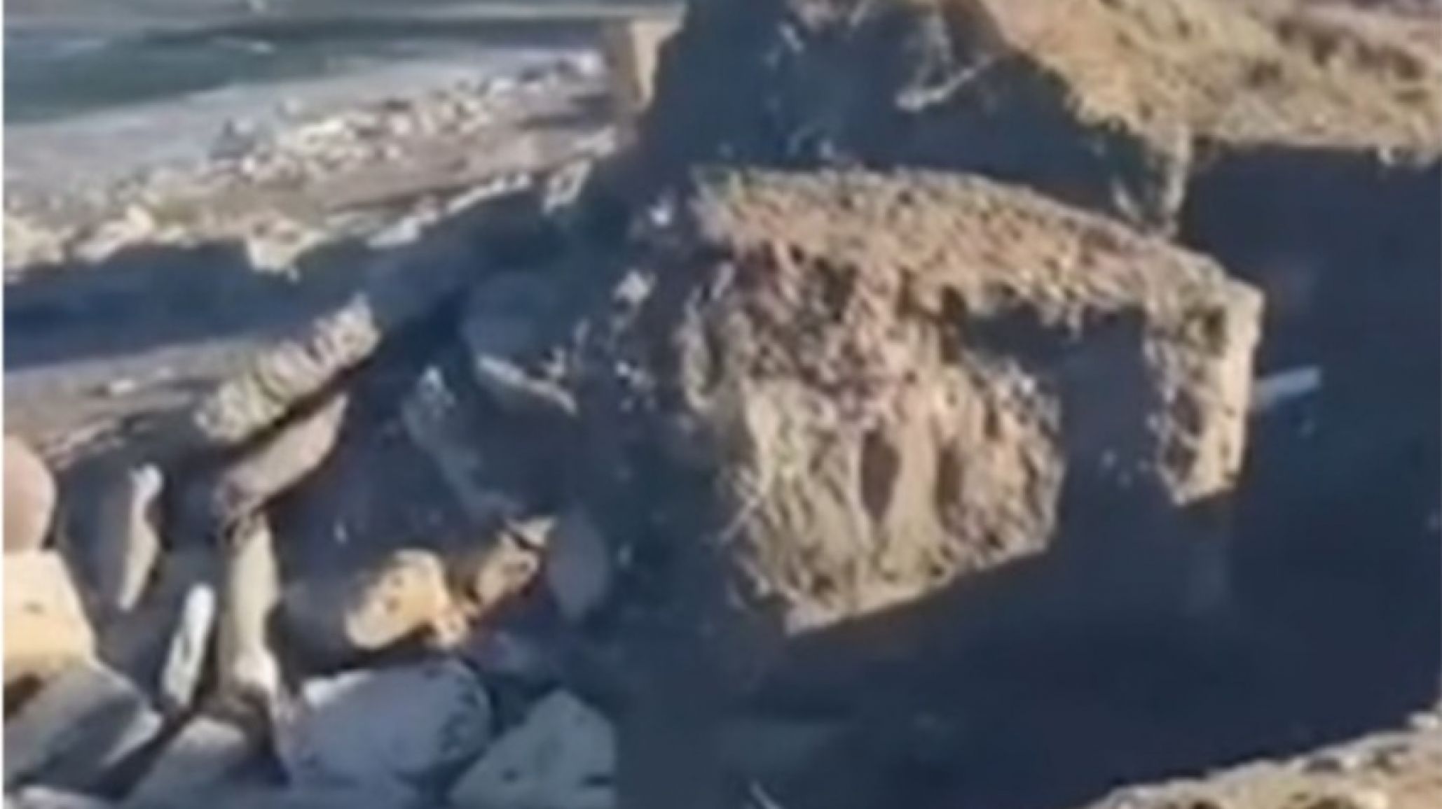 Las marejadas siguen avanzando sobre la costa de Comodoro: en Km. 5 ya se derrumbó media calle y crece la preocupación