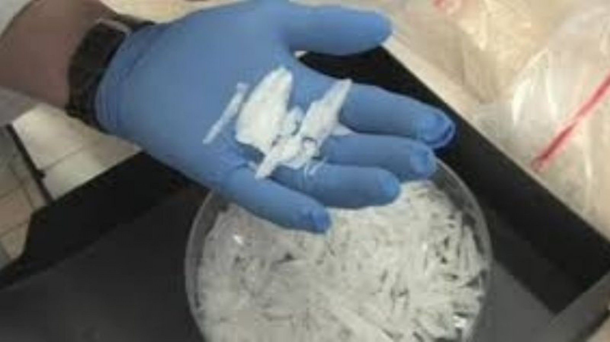 Un anciano mató a su esposa en una fiesta de 5 días de drogas y metal rock