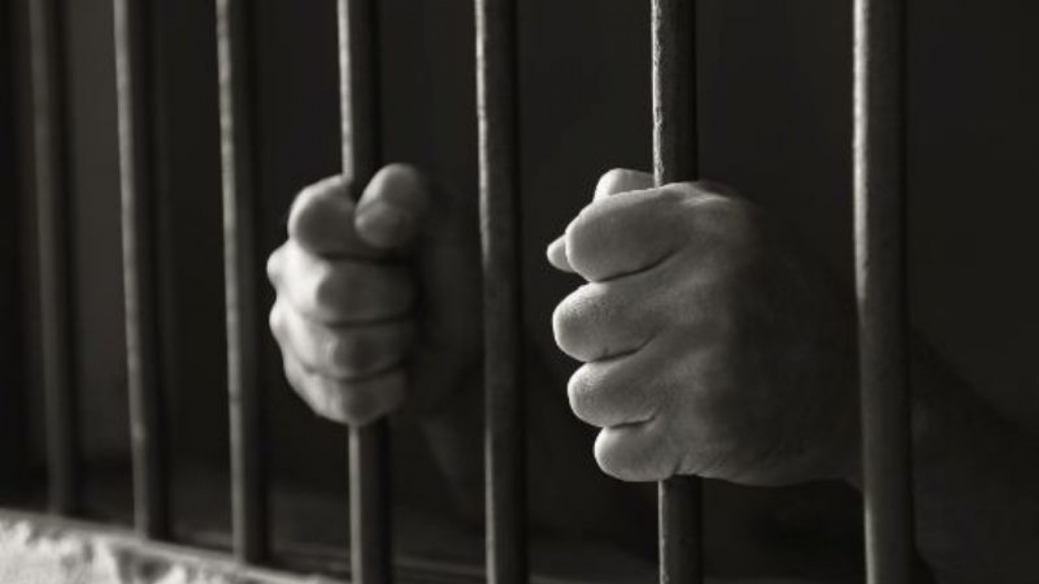 Prisión efectiva de 5 años para joven que quema vivo a su mascota